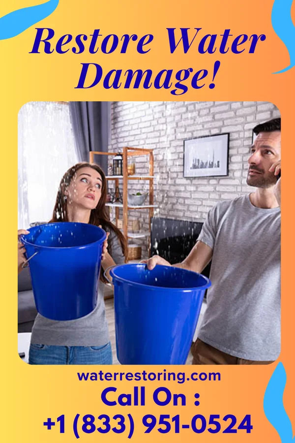 water restoration Best Mitigation Company Kildare